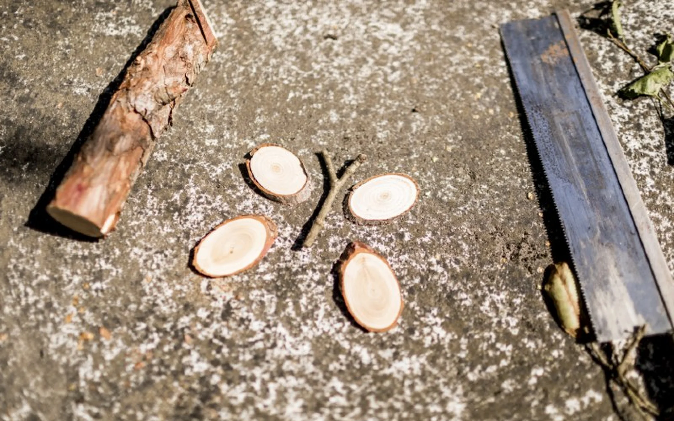 Bild3 SBO foto_arminhuber 5_800x533.jpg